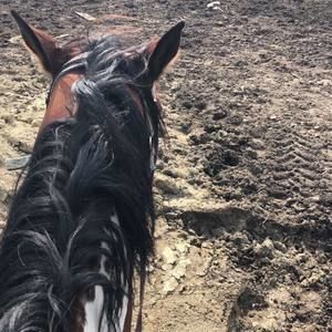 Meet your Posher, Zaria